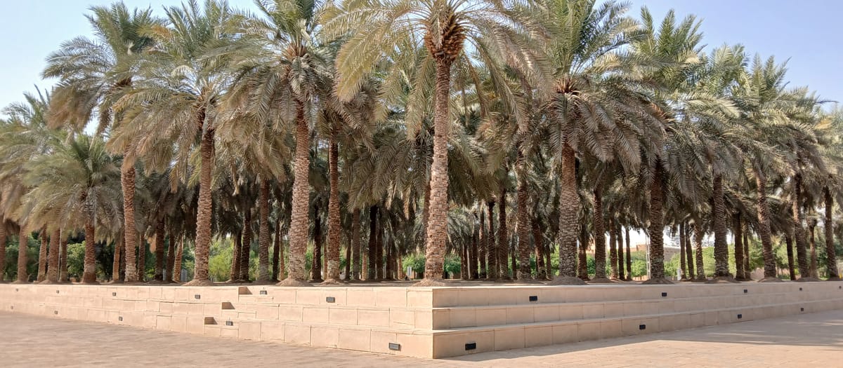 outside the palace inside the museum cats & chairs
