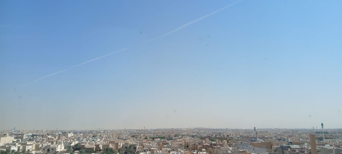 Post withdrawn titled "Stupidity, Idiocy and the Problem of Evil: art after genocide, part III"