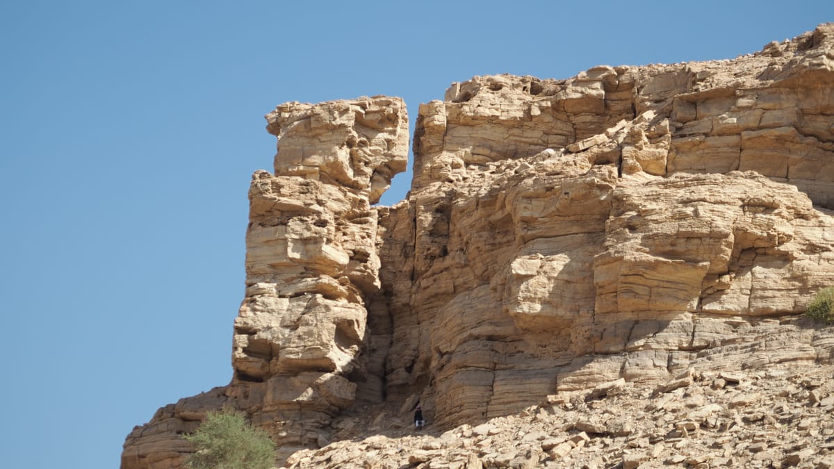 bbq on the wadi. . .