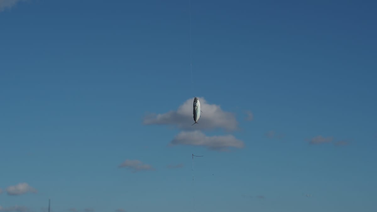 İstanbul not قسطنطينيه