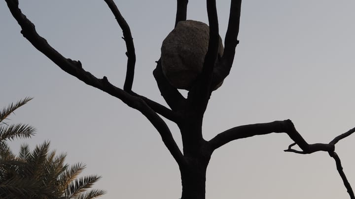 a few snaps back at the National Museum