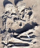 mantova couple 5000-6000 years old found by elena menotti.jpg