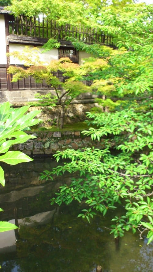 DSC_0078 Kurashiki bikan