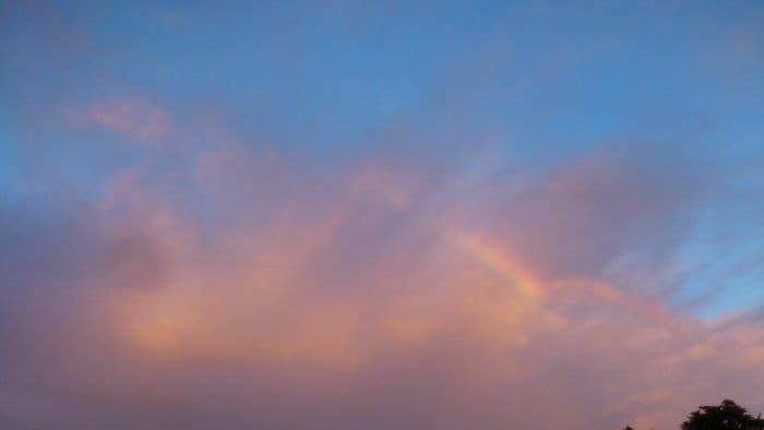 DSC_0024