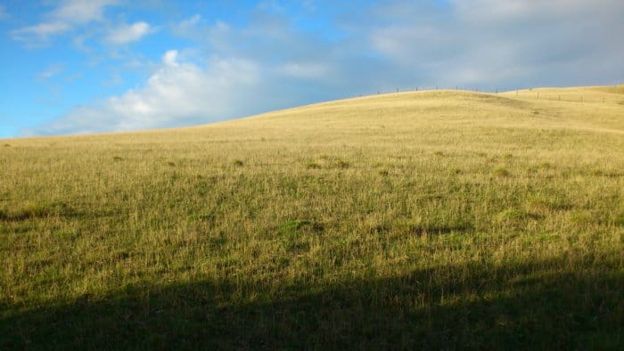 DSC_0052