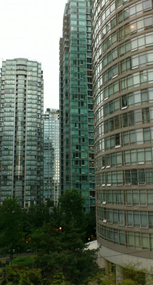DSC_0262